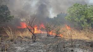 Feu de brousse à Ansongo :   Ils peuvent être indexés mais jamais dénoncés !